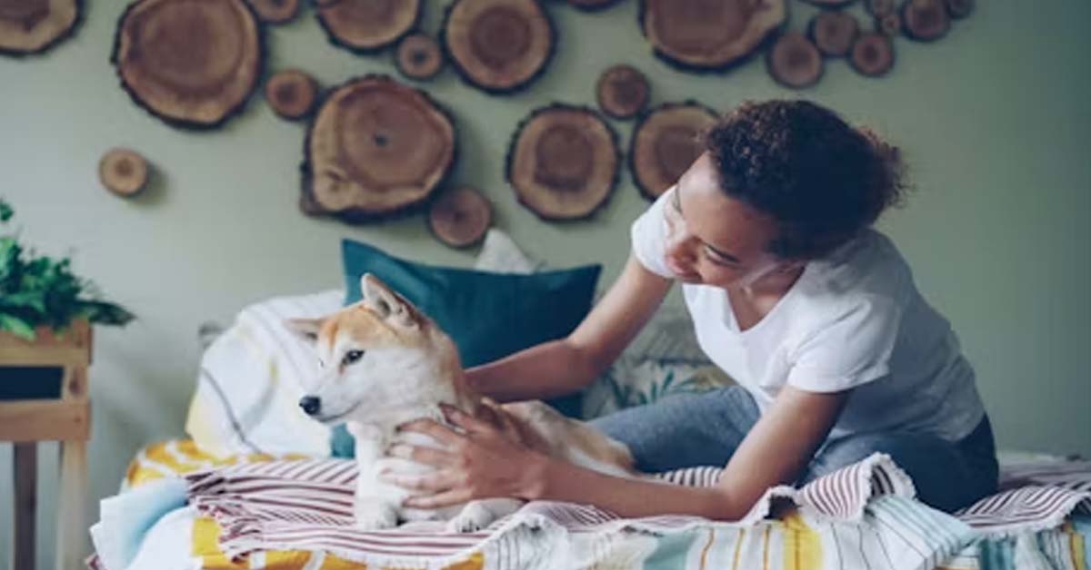 The Complete Pet Care Guide: How to Create a Healthy, Safe and Happy Home for Your Pet